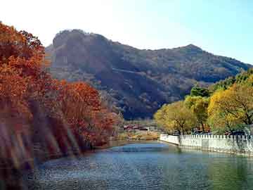 管家婆黑白马报图库，滦平seo程序